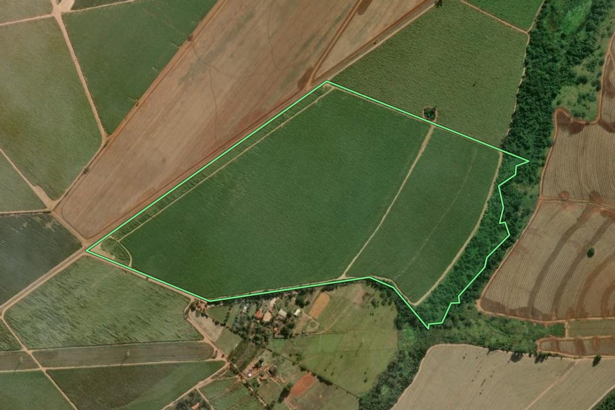 Imagem de satélite do imóvel rural em Porto Ferreira (SP), com o contorno declarado no CAR desenhado por cima.