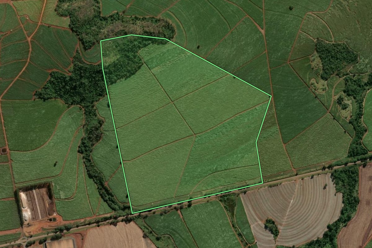 Imagem de satélite do imóvel rural em Porto Ferreira (SP), com o contorno declarado no CAR desenhado por cima.