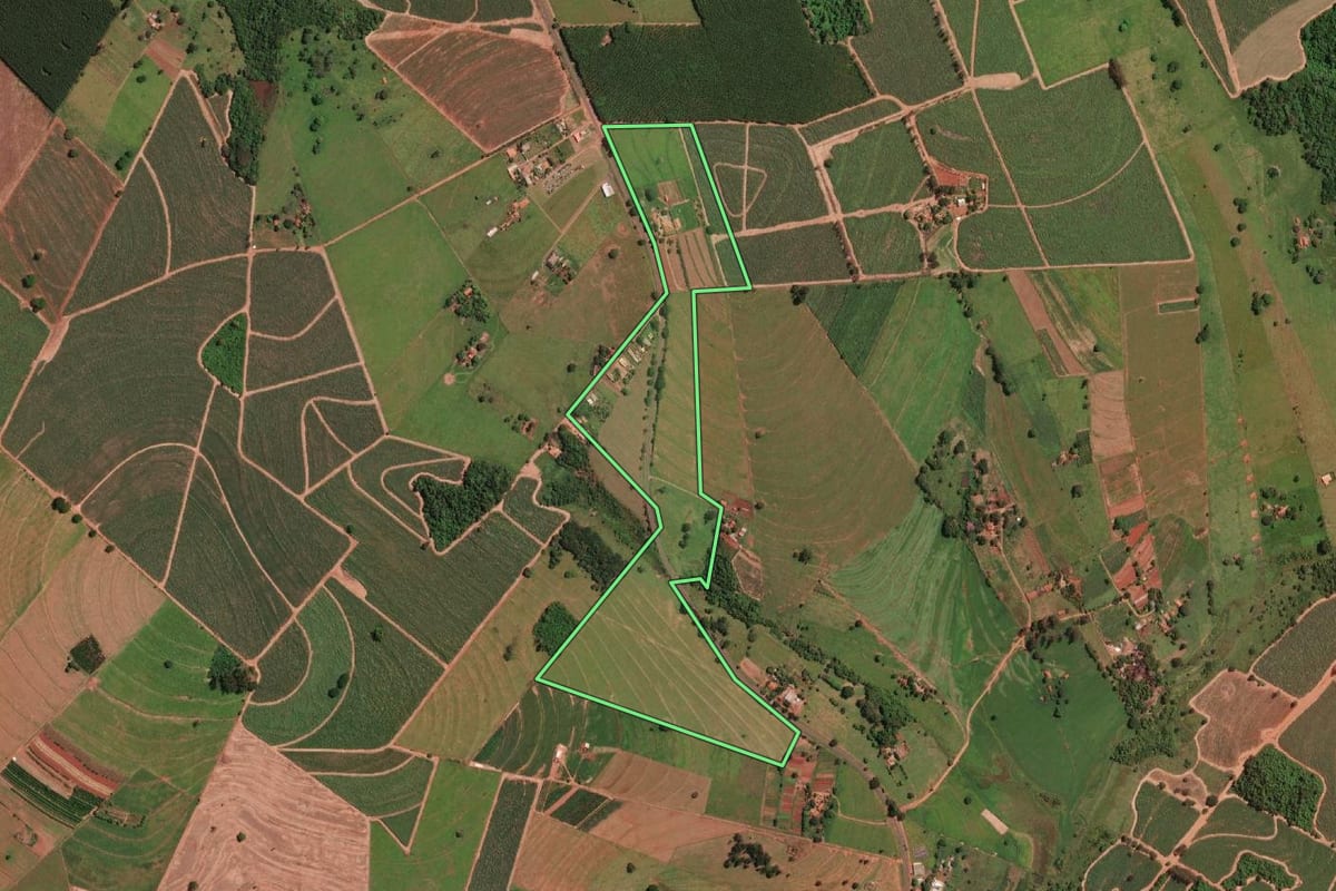 Imagem de satélite do imóvel rural em Potirendaba (SP), com o contorno declarado no CAR desenhado por cima.