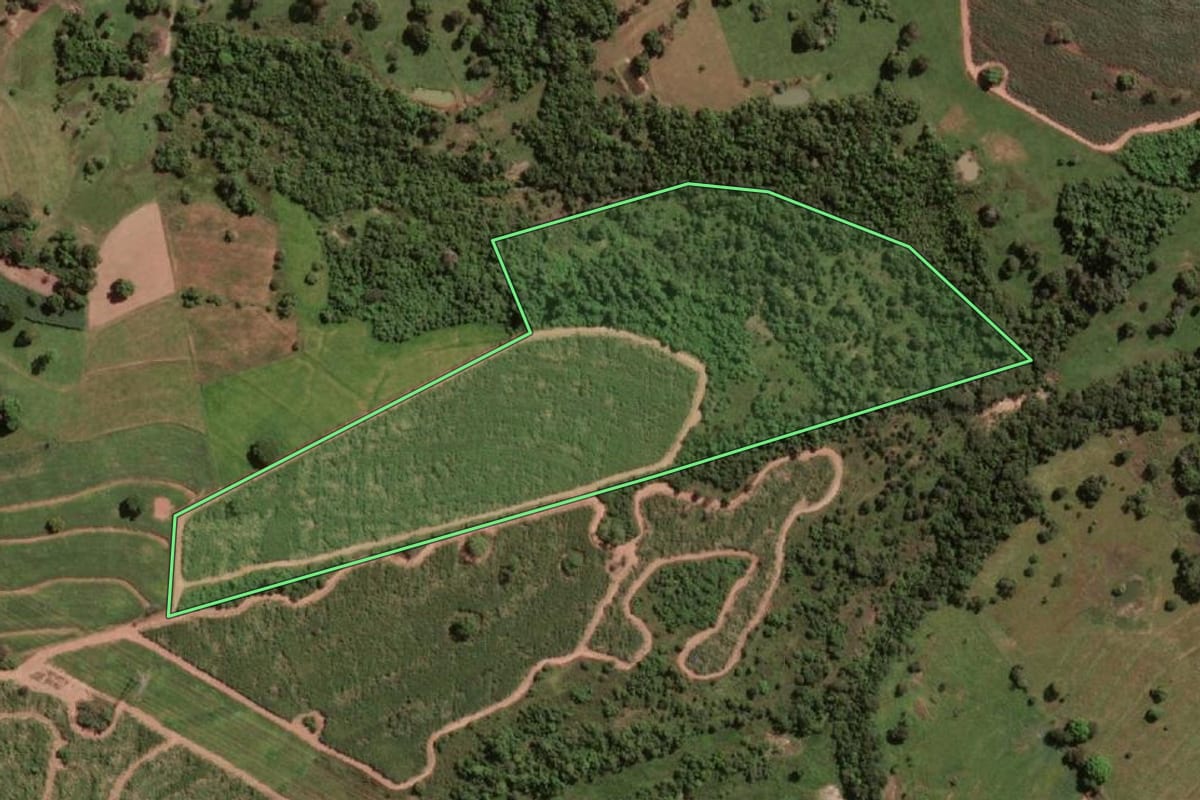 Imagem de satélite do imóvel rural em Potirendaba (SP), com o contorno declarado no CAR desenhado por cima.