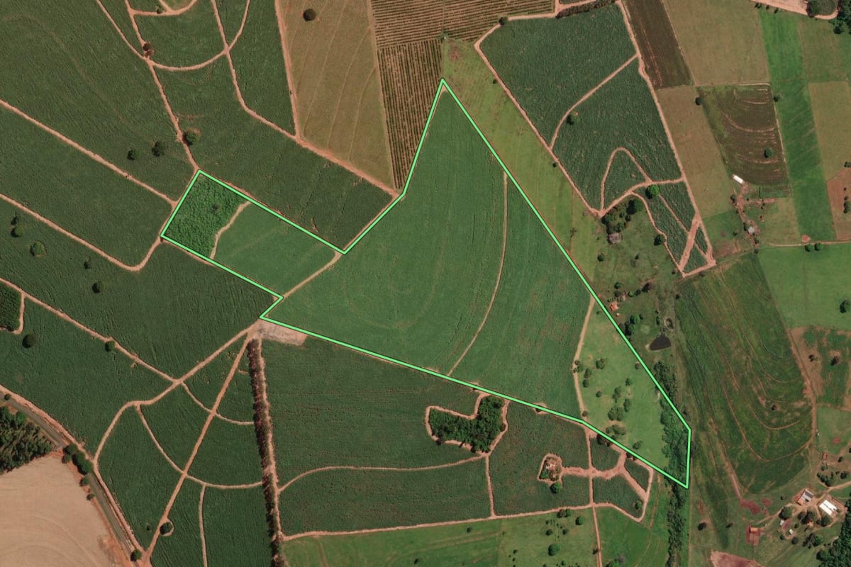 Imagem de satélite do imóvel rural em Potirendaba (SP), com o contorno declarado no CAR desenhado por cima.