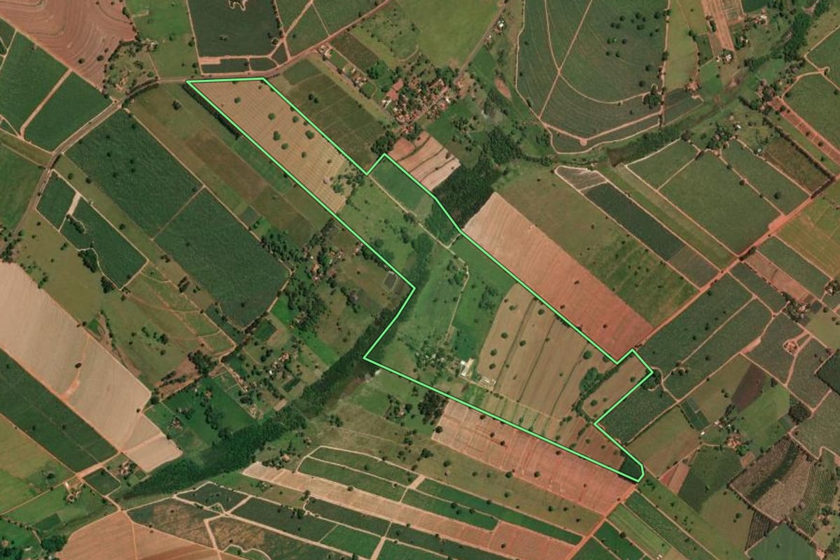 Imagem de satélite do imóvel rural em Potirendaba (SP), com o contorno declarado no CAR desenhado por cima.