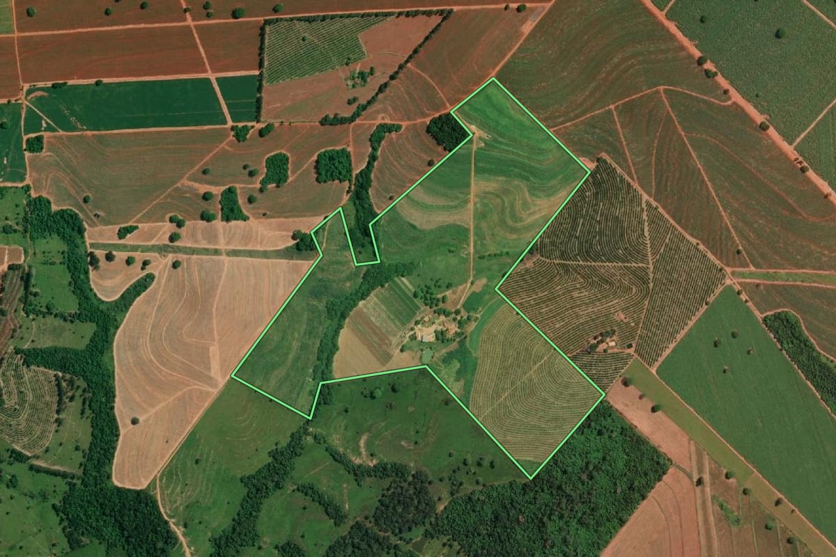 Imagem de satélite do imóvel rural em Potirendaba (SP), com o contorno declarado no CAR desenhado por cima.