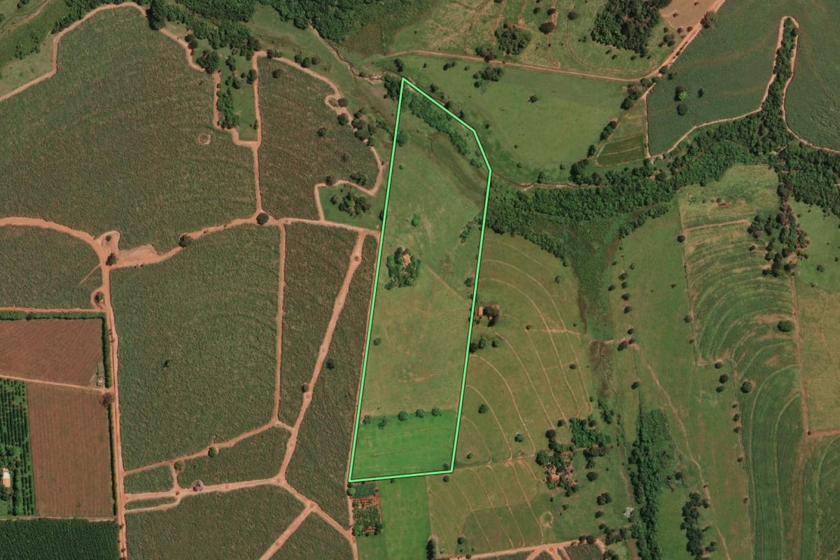 Imagem de satélite do imóvel rural em Potirendaba (SP), com o contorno declarado no CAR desenhado por cima.