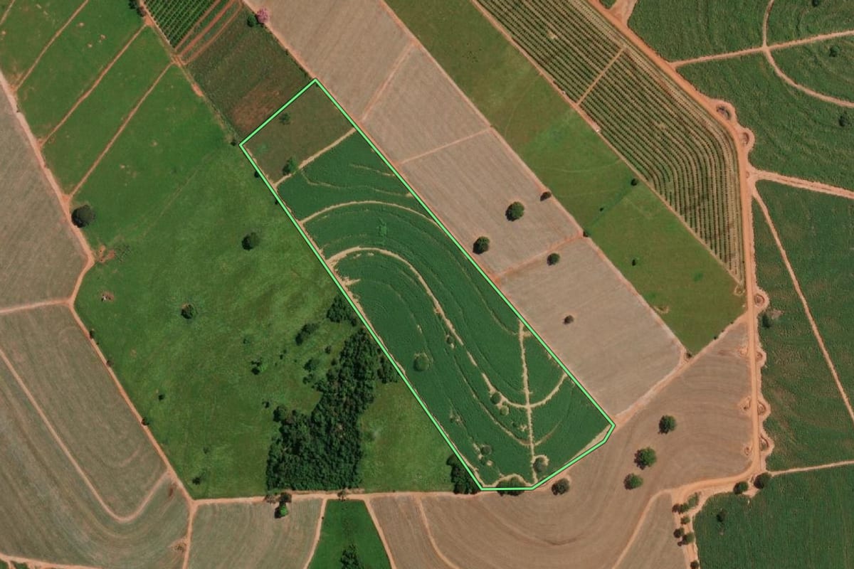 Imagem de satélite do imóvel rural em Potirendaba (SP), com o contorno declarado no CAR desenhado por cima.