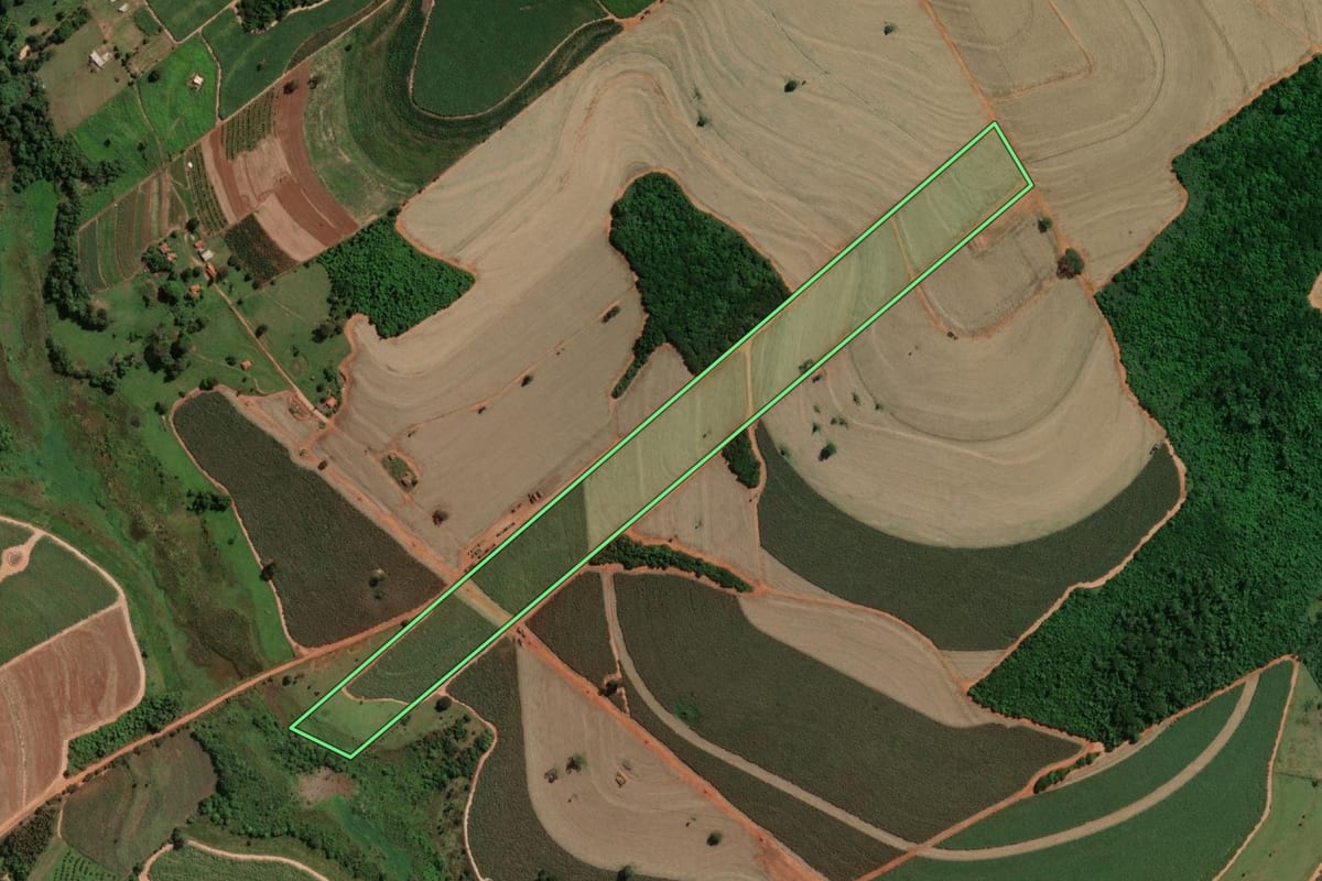 Imagem de satélite do imóvel rural em Potirendaba (SP), com o contorno declarado no CAR desenhado por cima.