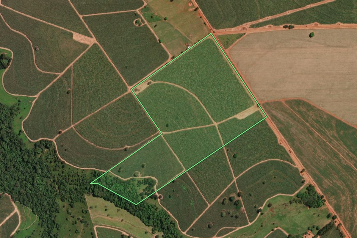 Imagem de satélite do imóvel rural em Potirendaba (SP), com o contorno declarado no CAR desenhado por cima.