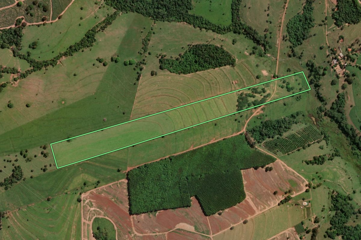 Imagem de satélite do imóvel rural em Potirendaba (SP), com o contorno declarado no CAR desenhado por cima.