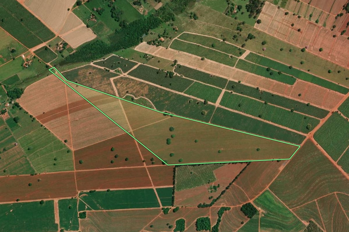 Imagem de satélite do imóvel rural em Potirendaba (SP), com o contorno declarado no CAR desenhado por cima.