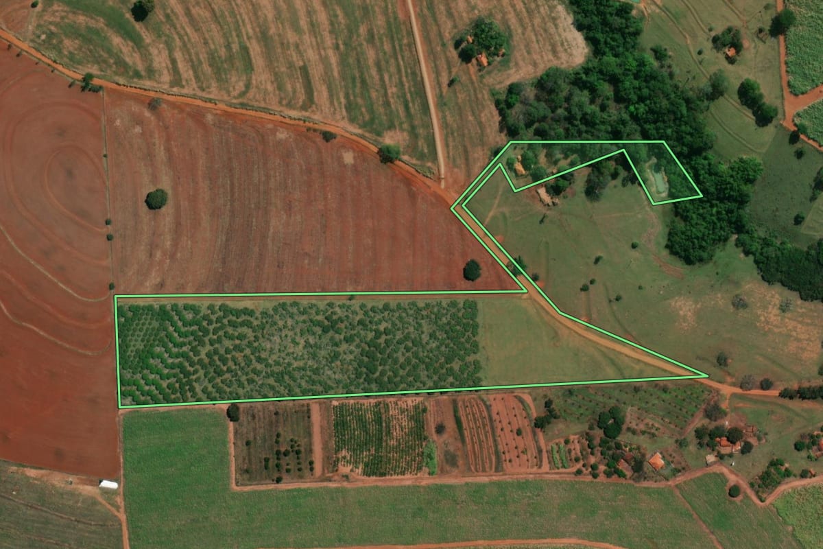 Imagem de satélite do imóvel rural em Potirendaba (SP), com o contorno declarado no CAR desenhado por cima.