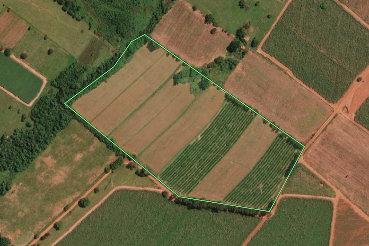 Imagem de satélite do imóvel rural em Potirendaba (SP), com o contorno declarado no CAR desenhado por cima.