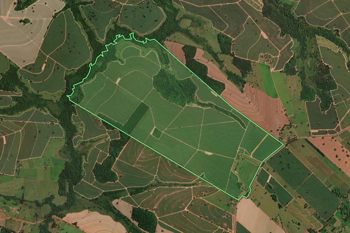 Imagem de satélite do imóvel rural em Potirendaba (SP), com o contorno declarado no CAR desenhado por cima.
