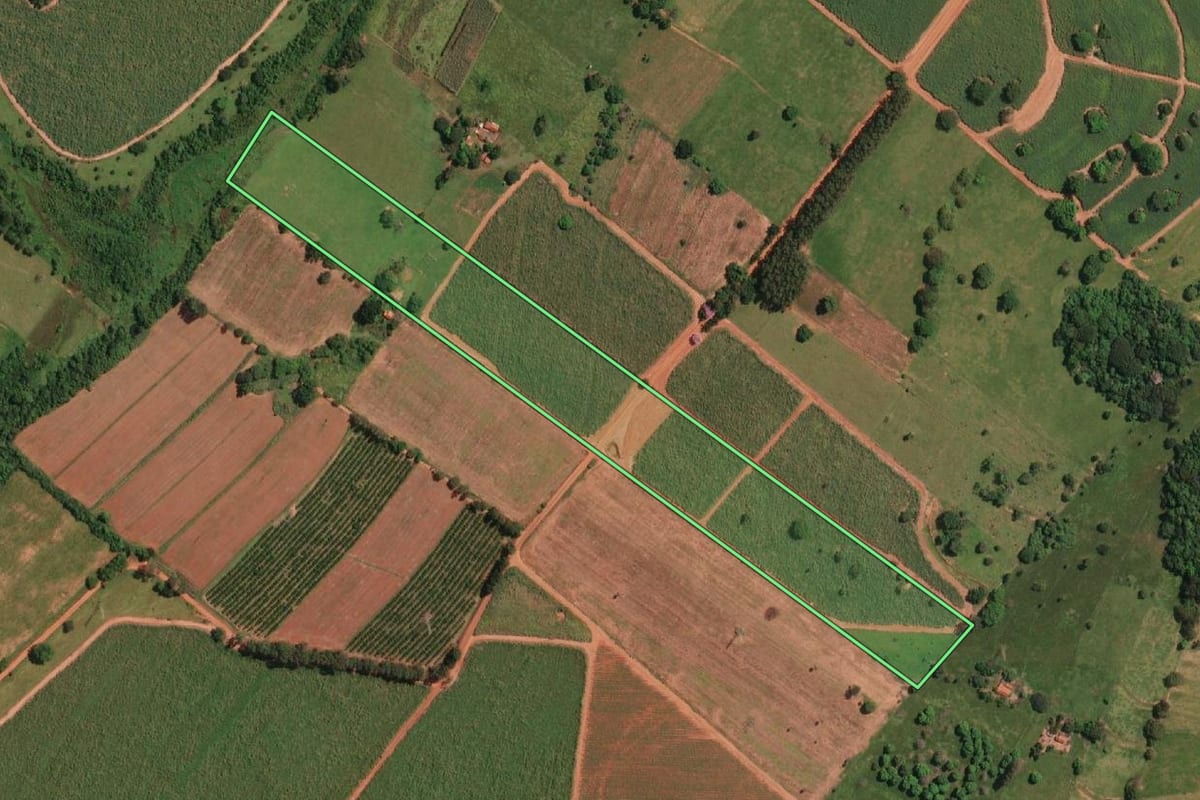Imagem de satélite do imóvel rural em Potirendaba (SP), com o contorno declarado no CAR desenhado por cima.