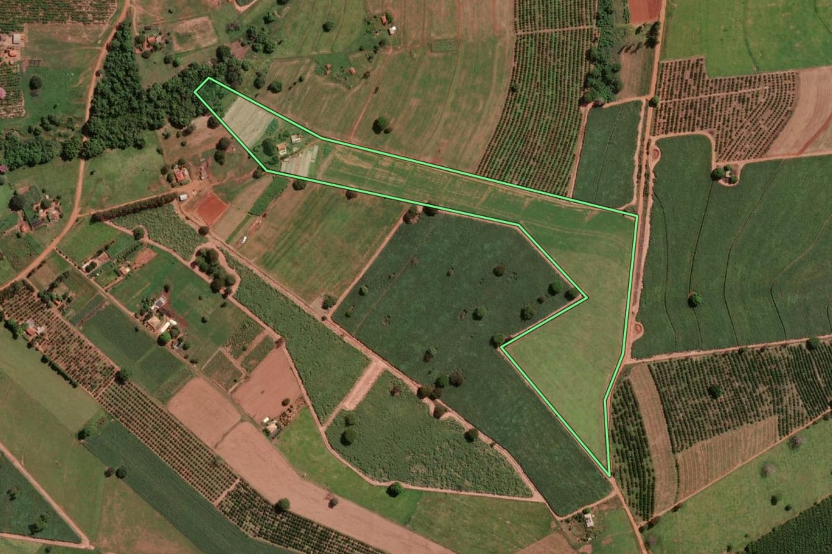 Imagem de satélite do imóvel rural em Potirendaba (SP), com o contorno declarado no CAR desenhado por cima.