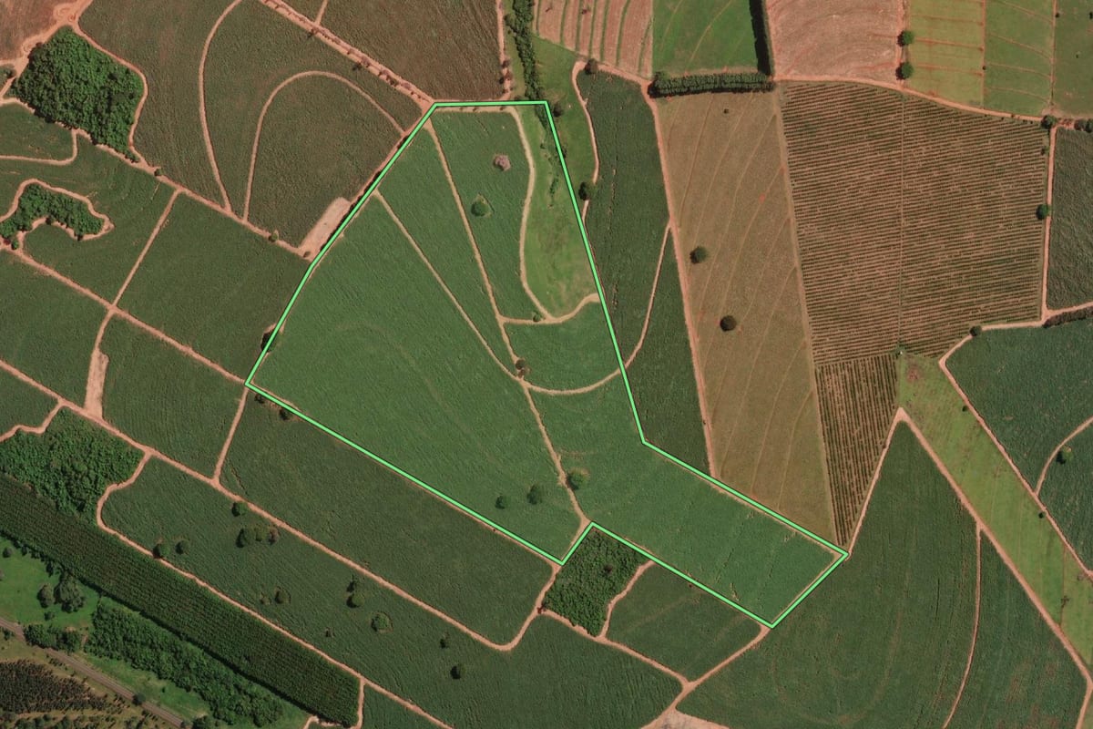 Imagem de satélite do imóvel rural em Potirendaba (SP), com o contorno declarado no CAR desenhado por cima.