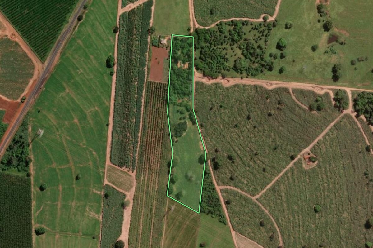 Imagem de satélite do imóvel rural em Potirendaba (SP), com o contorno declarado no CAR desenhado por cima.