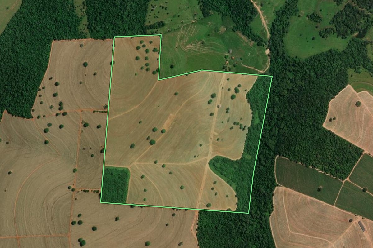 Imagem de satélite do imóvel rural em Potirendaba (SP), com o contorno declarado no CAR desenhado por cima.