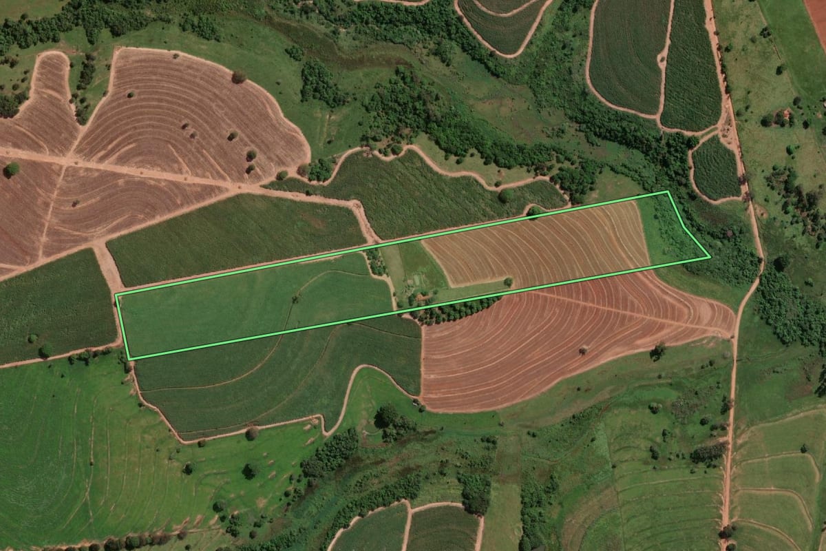 Imagem de satélite do imóvel rural em Potirendaba (SP), com o contorno declarado no CAR desenhado por cima.
