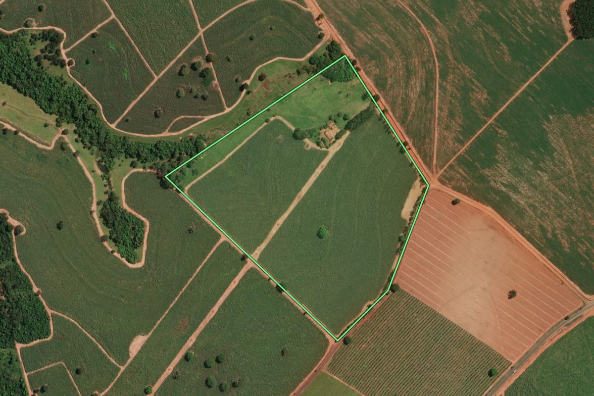 Imagem de satélite do imóvel rural em Potirendaba (SP), com o contorno declarado no CAR desenhado por cima.