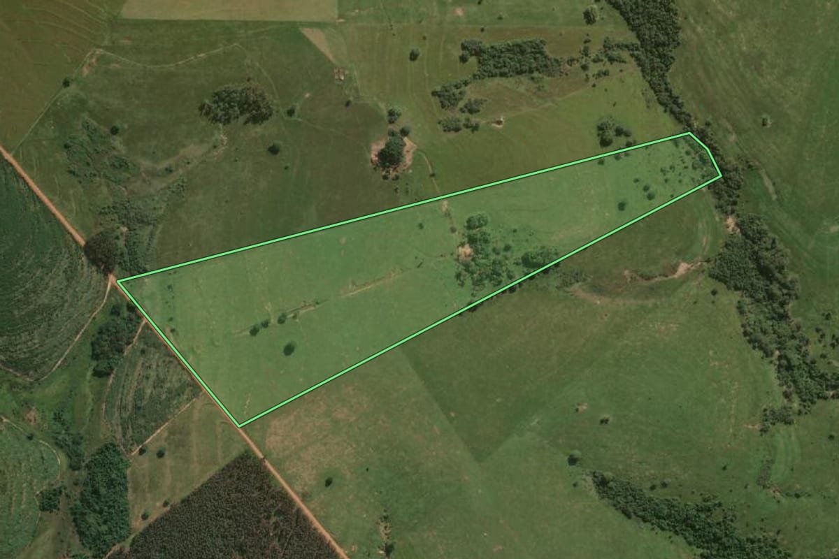 Imagem de satélite do imóvel rural em Pracinha (SP), com o contorno declarado no CAR desenhado por cima.