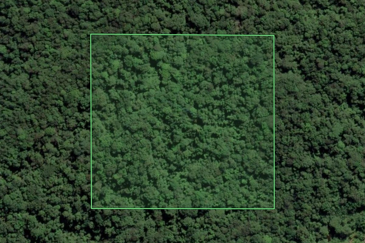 Imagem de satélite do imóvel rural em Praia Grande (SP), com o contorno declarado no CAR desenhado por cima.