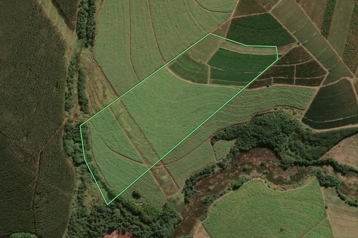 Imagem de satélite do imóvel rural em Pratânia (SP), com o contorno declarado no CAR desenhado por cima.