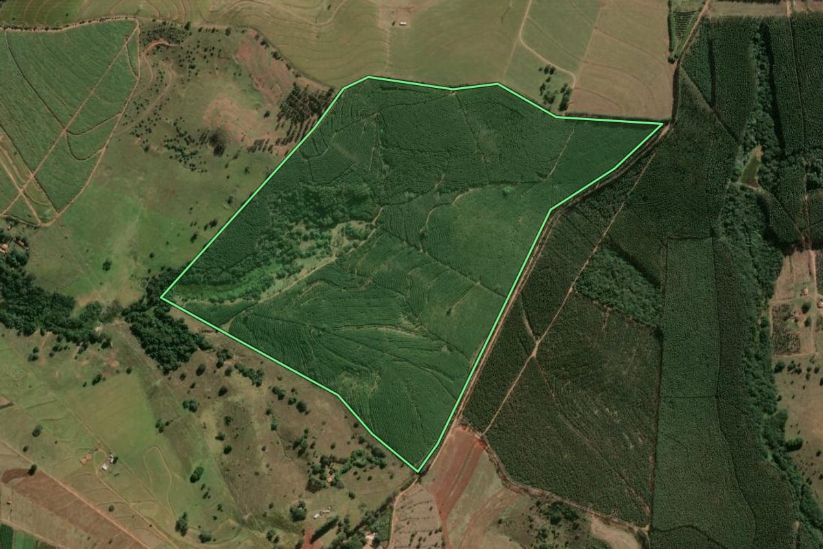 Imagem de satélite do imóvel rural em Pratânia (SP), com o contorno declarado no CAR desenhado por cima.