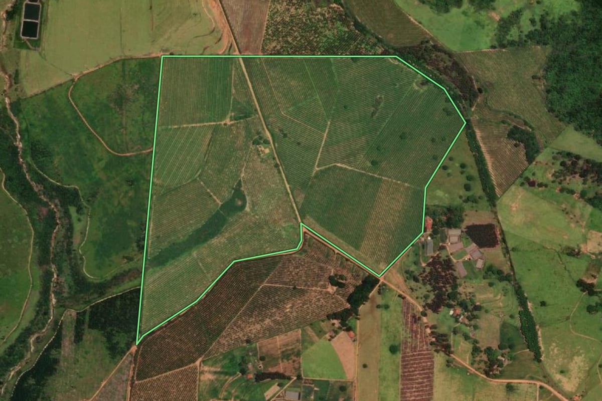 Imagem de satélite do imóvel rural em Presidente Alves (SP), com o contorno declarado no CAR desenhado por cima.
