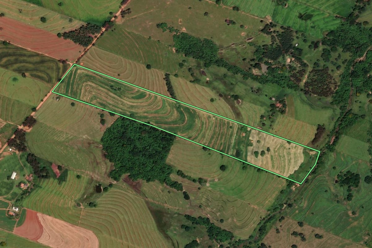 Imagem de satélite do imóvel rural em Presidente Bernardes (SP), com o contorno declarado no CAR desenhado por cima.