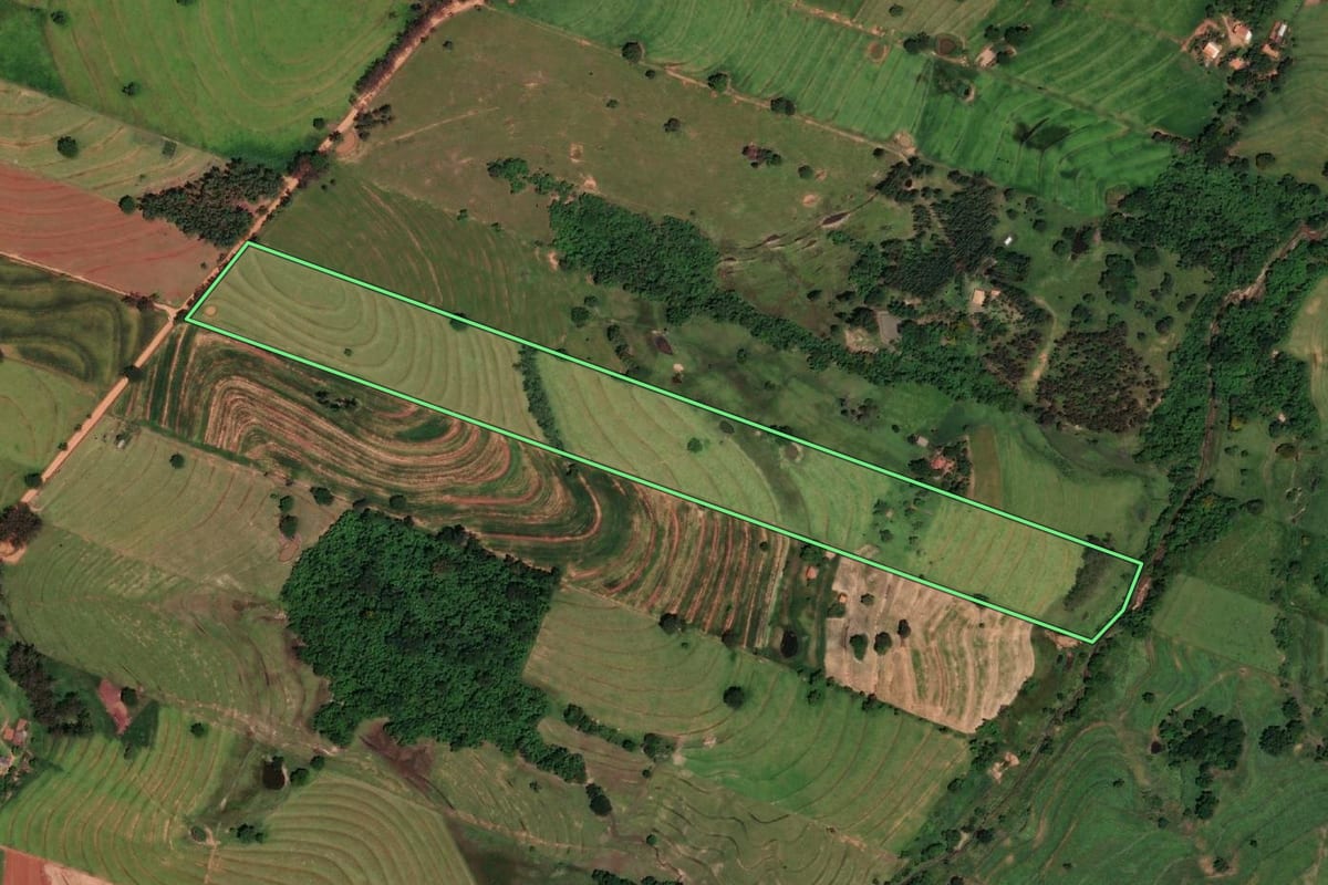 Imagem de satélite do imóvel rural em Presidente Bernardes (SP), com o contorno declarado no CAR desenhado por cima.