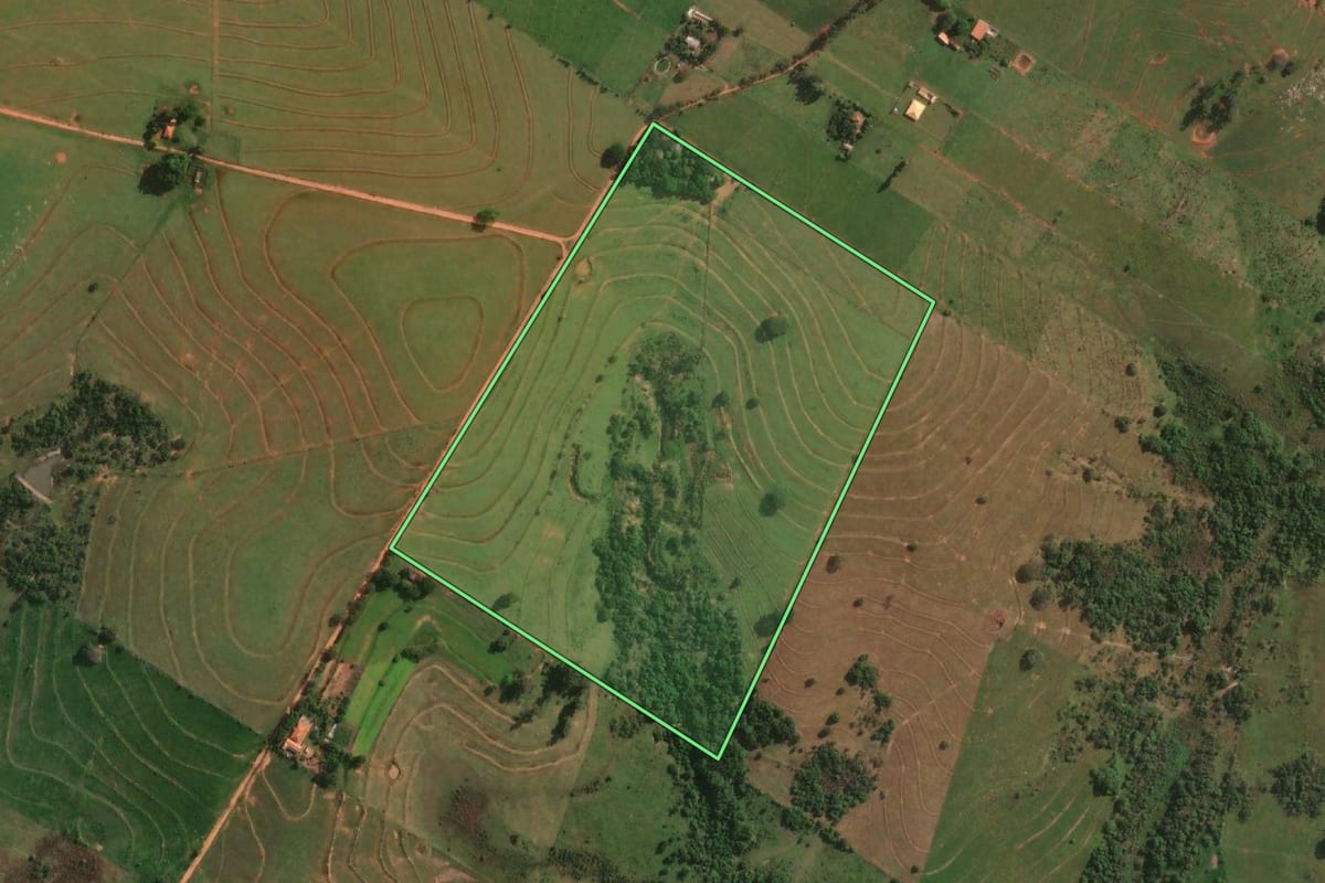 Imagem de satélite do imóvel rural em Presidente Bernardes (SP), com o contorno declarado no CAR desenhado por cima.