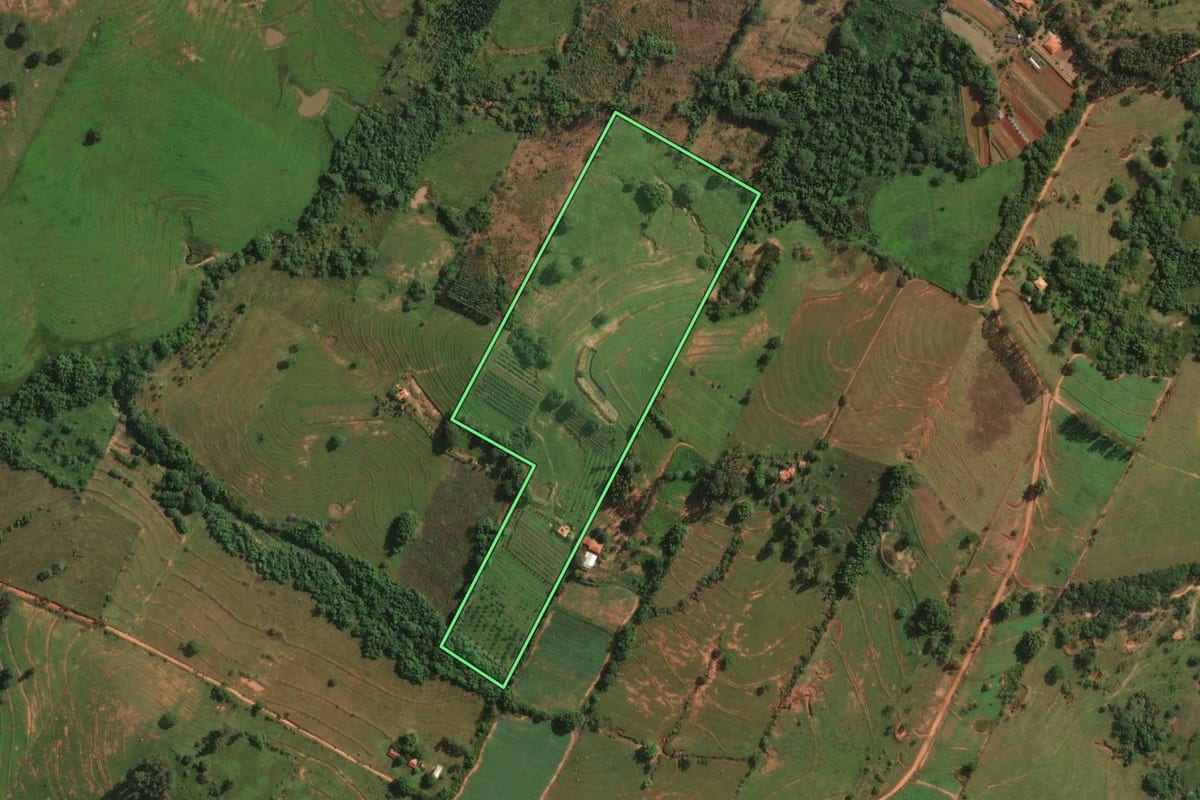 Imagem de satélite do imóvel rural em Presidente Bernardes (SP), com o contorno declarado no CAR desenhado por cima.
