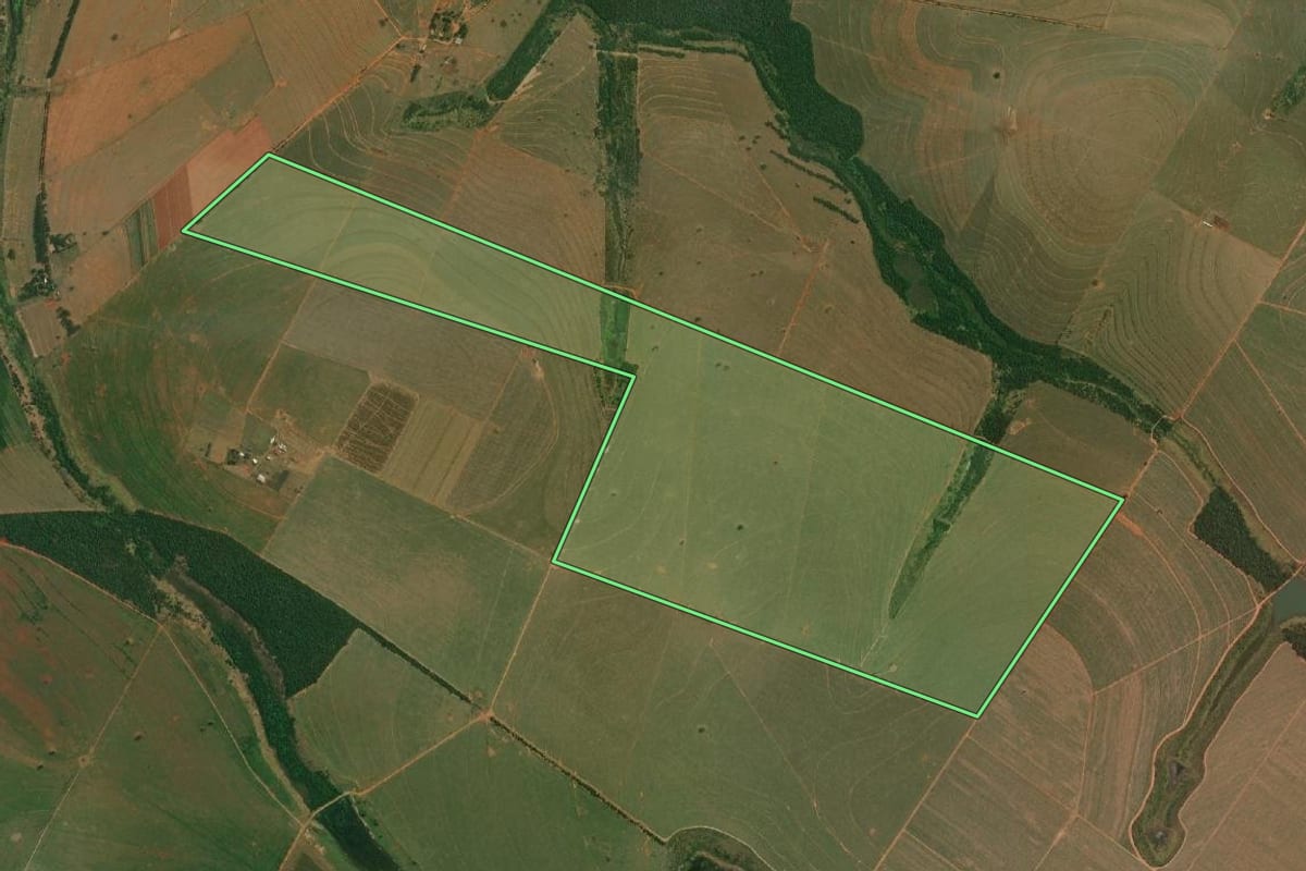 Imagem de satélite do imóvel rural em Presidente Bernardes (SP), com o contorno declarado no CAR desenhado por cima.