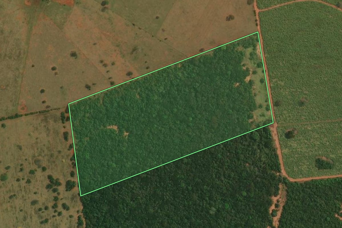 Imagem de satélite do imóvel rural em Presidente Bernardes (SP), com o contorno declarado no CAR desenhado por cima.