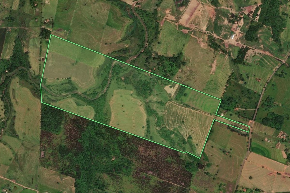 Imagem de satélite do imóvel rural em Presidente Bernardes (SP), com o contorno declarado no CAR desenhado por cima.