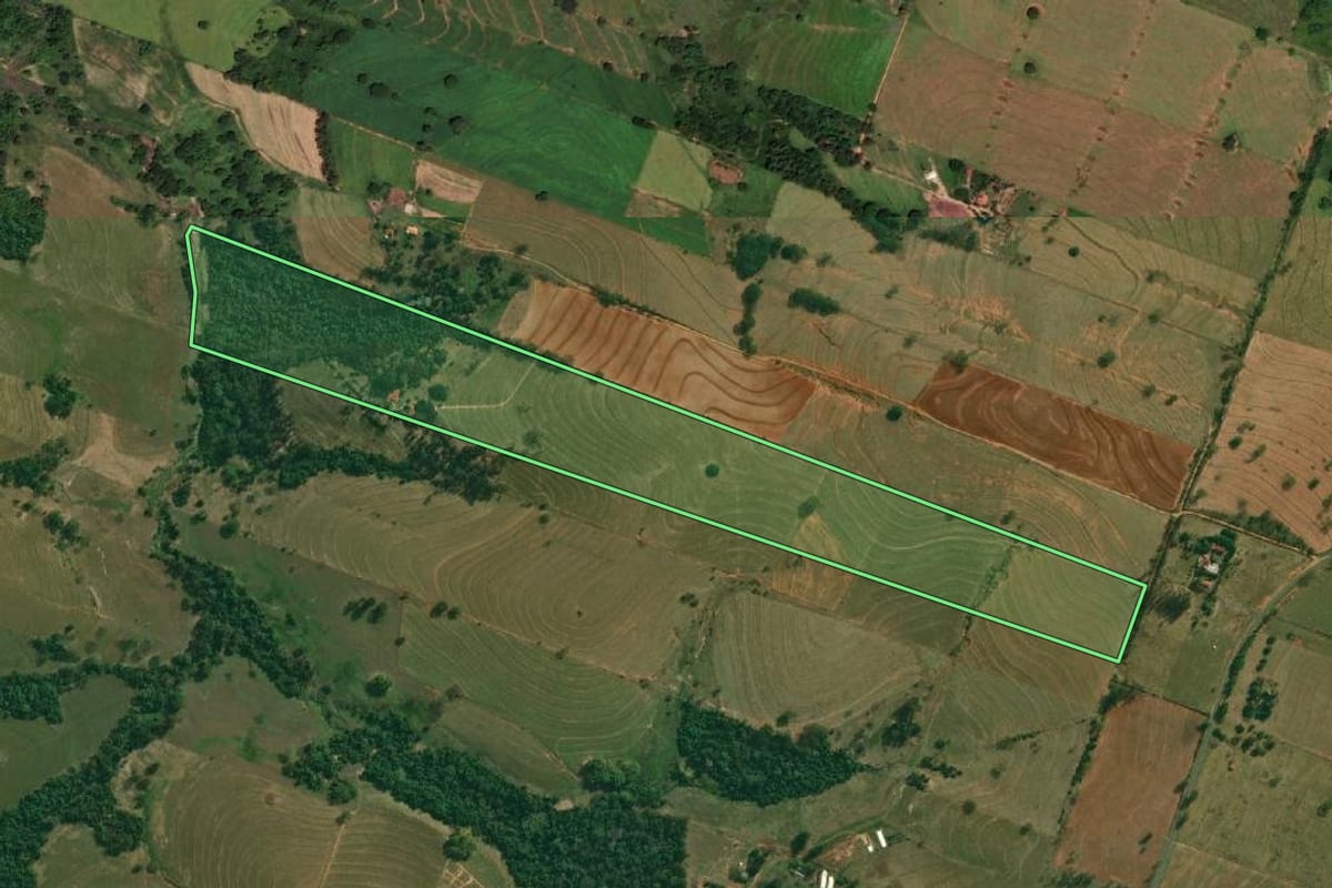 Imagem de satélite do imóvel rural em Presidente Bernardes (SP), com o contorno declarado no CAR desenhado por cima.