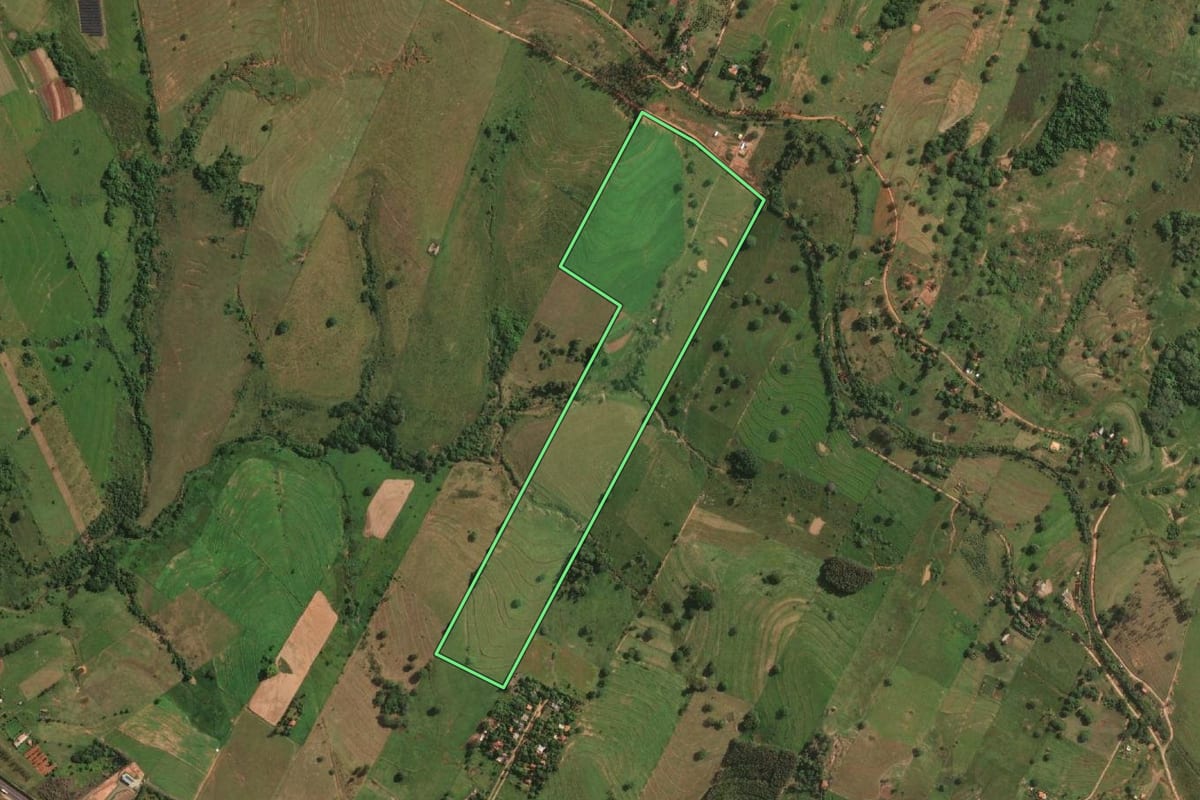 Imagem de satélite do imóvel rural em Presidente Bernardes (SP), com o contorno declarado no CAR desenhado por cima.