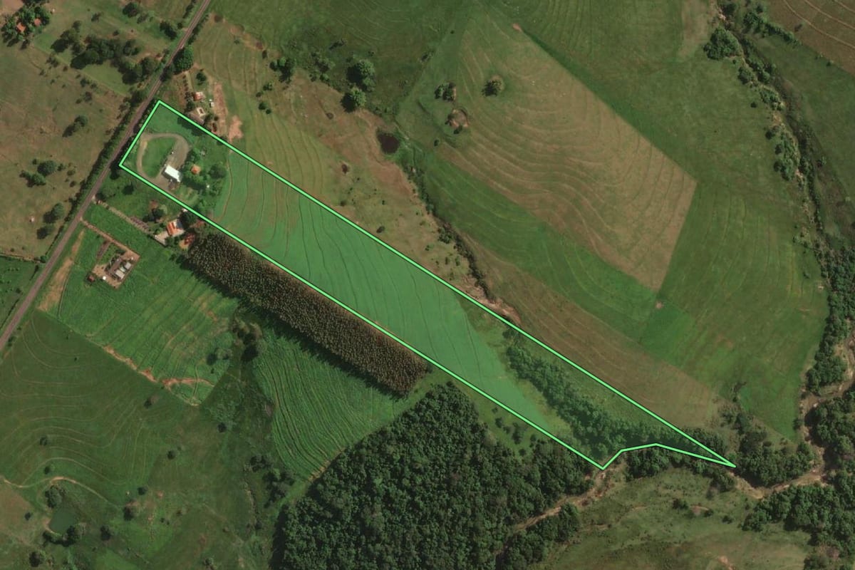 Imagem de satélite do imóvel rural em Presidente Bernardes (SP), com o contorno declarado no CAR desenhado por cima.
