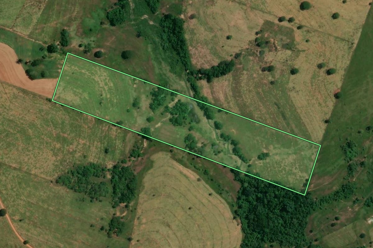 Imagem de satélite do imóvel rural em Presidente Bernardes (SP), com o contorno declarado no CAR desenhado por cima.