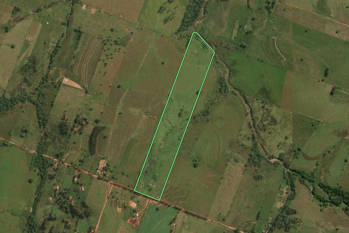 Imagem de satélite do imóvel rural em Presidente Bernardes (SP), com o contorno declarado no CAR desenhado por cima.