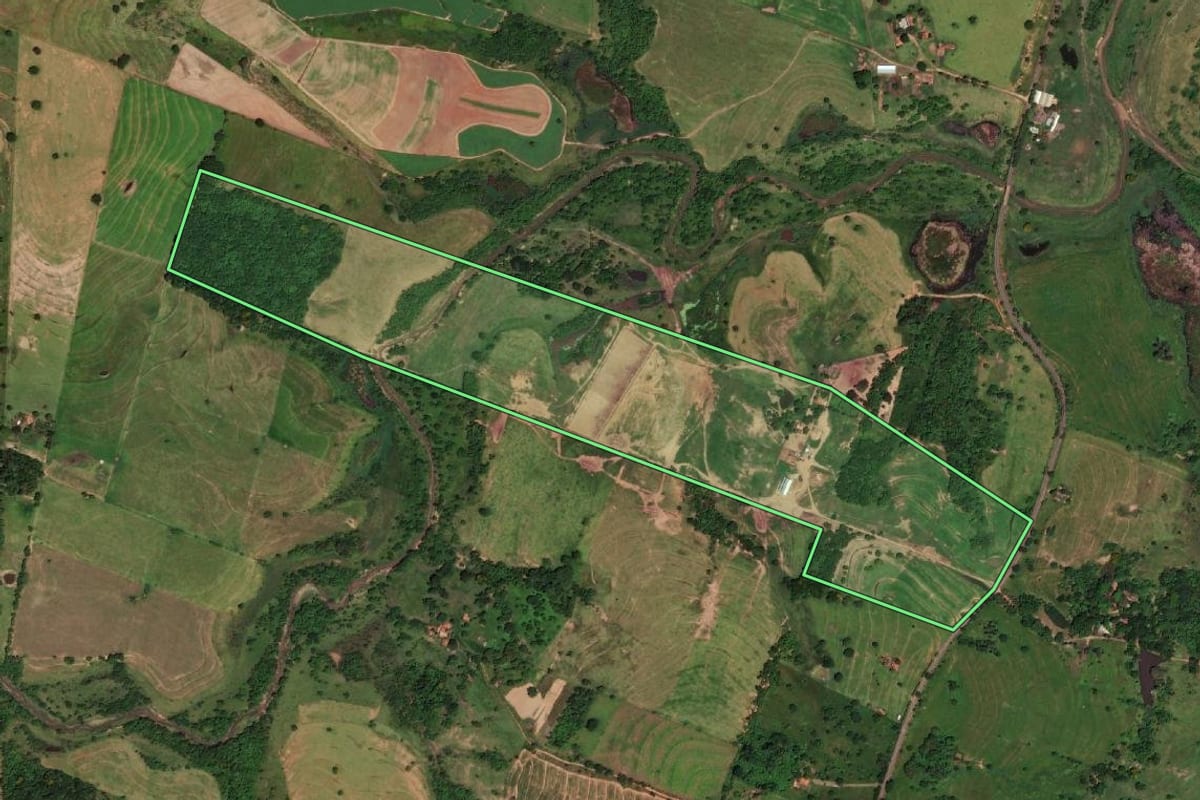 Imagem de satélite do imóvel rural em Presidente Bernardes (SP), com o contorno declarado no CAR desenhado por cima.