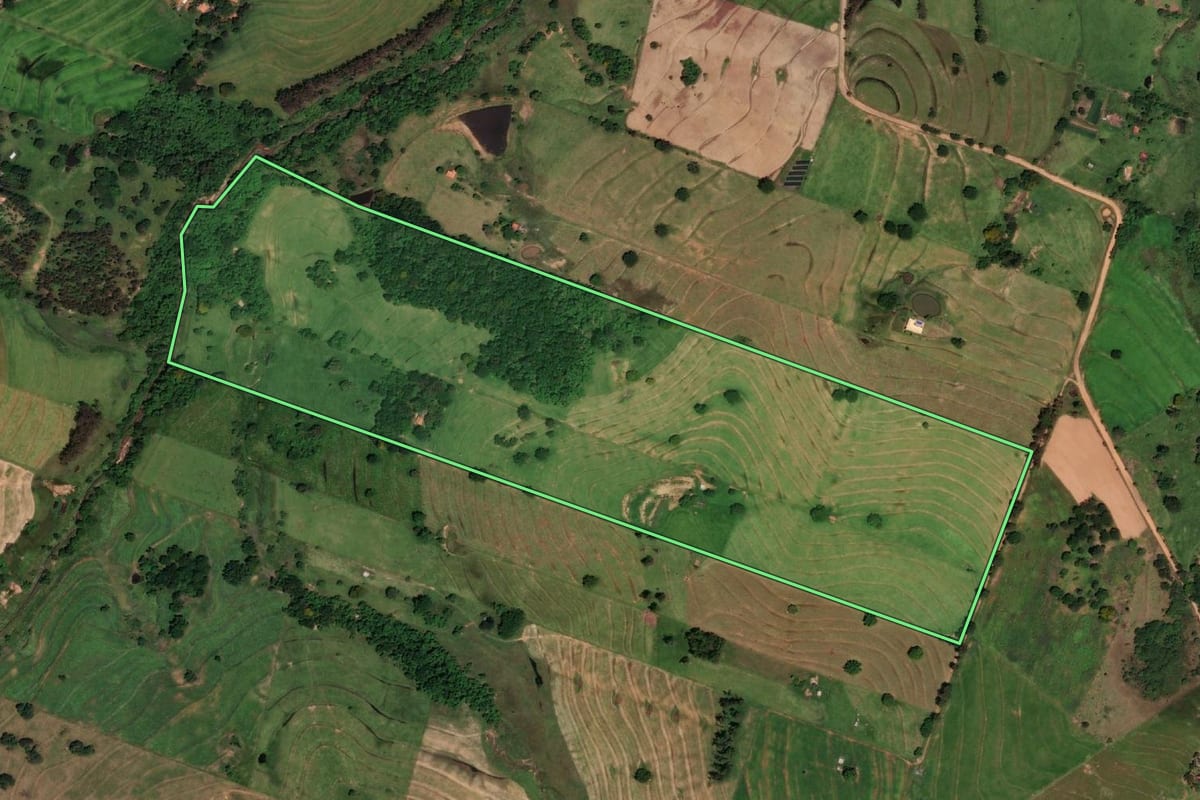 Imagem de satélite do imóvel rural em Presidente Bernardes (SP), com o contorno declarado no CAR desenhado por cima.