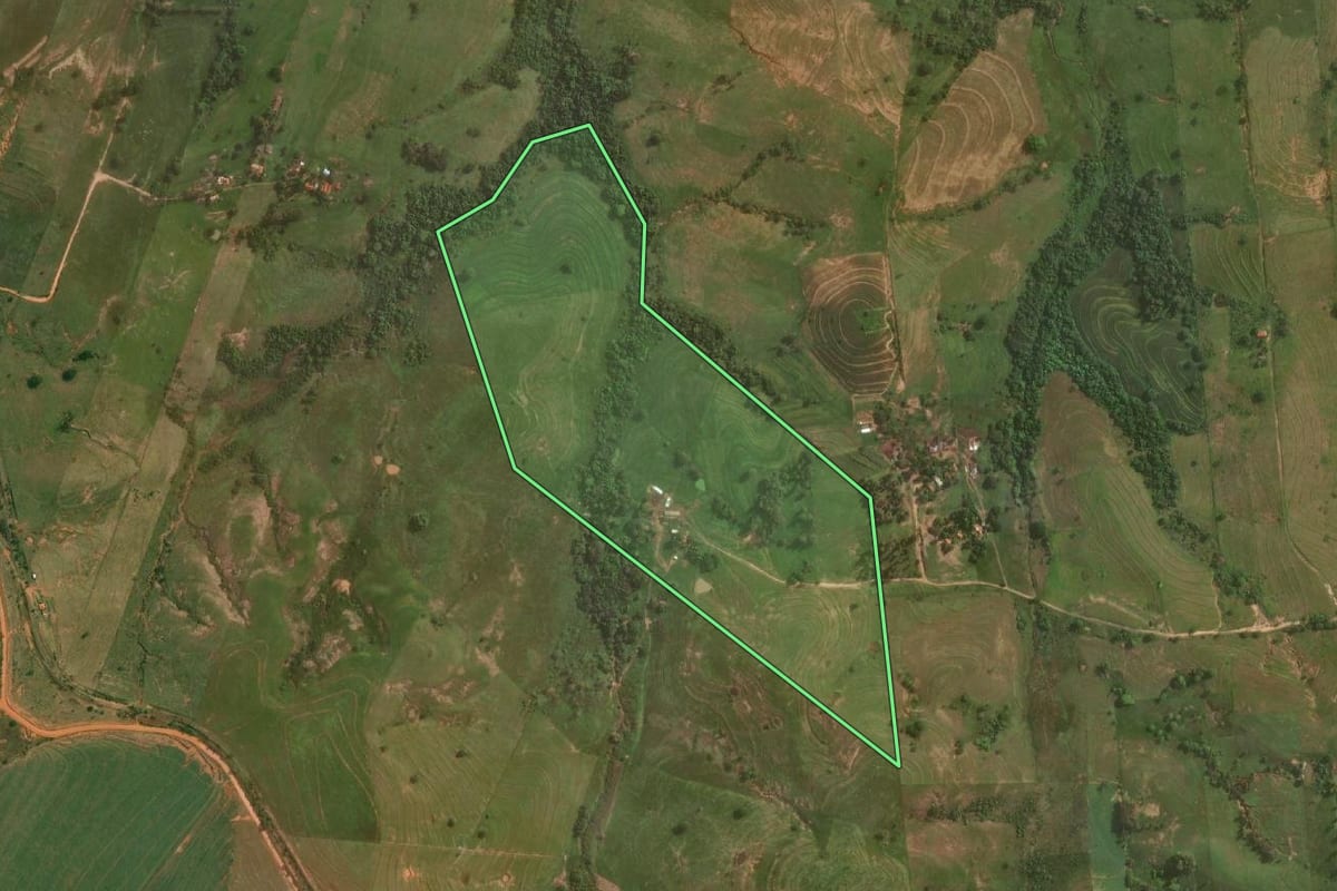 Imagem de satélite do imóvel rural em Presidente Bernardes (SP), com o contorno declarado no CAR desenhado por cima.
