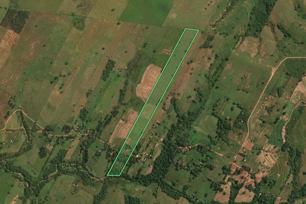 Imagem de satélite do imóvel rural em Presidente Bernardes (SP), com o contorno declarado no CAR desenhado por cima.