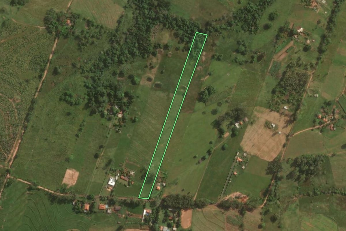 Imagem de satélite do imóvel rural em Presidente Bernardes (SP), com o contorno declarado no CAR desenhado por cima.