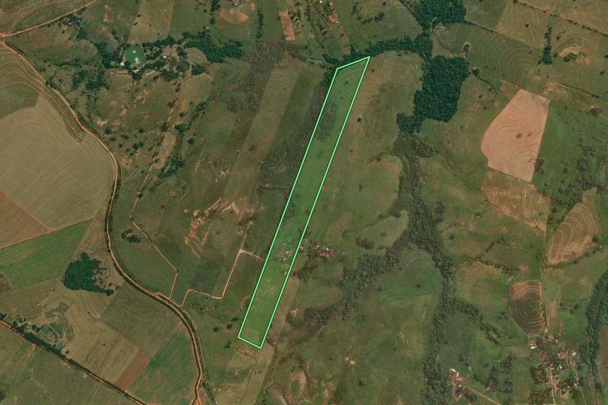 Imagem de satélite do imóvel rural em Presidente Bernardes (SP), com o contorno declarado no CAR desenhado por cima.