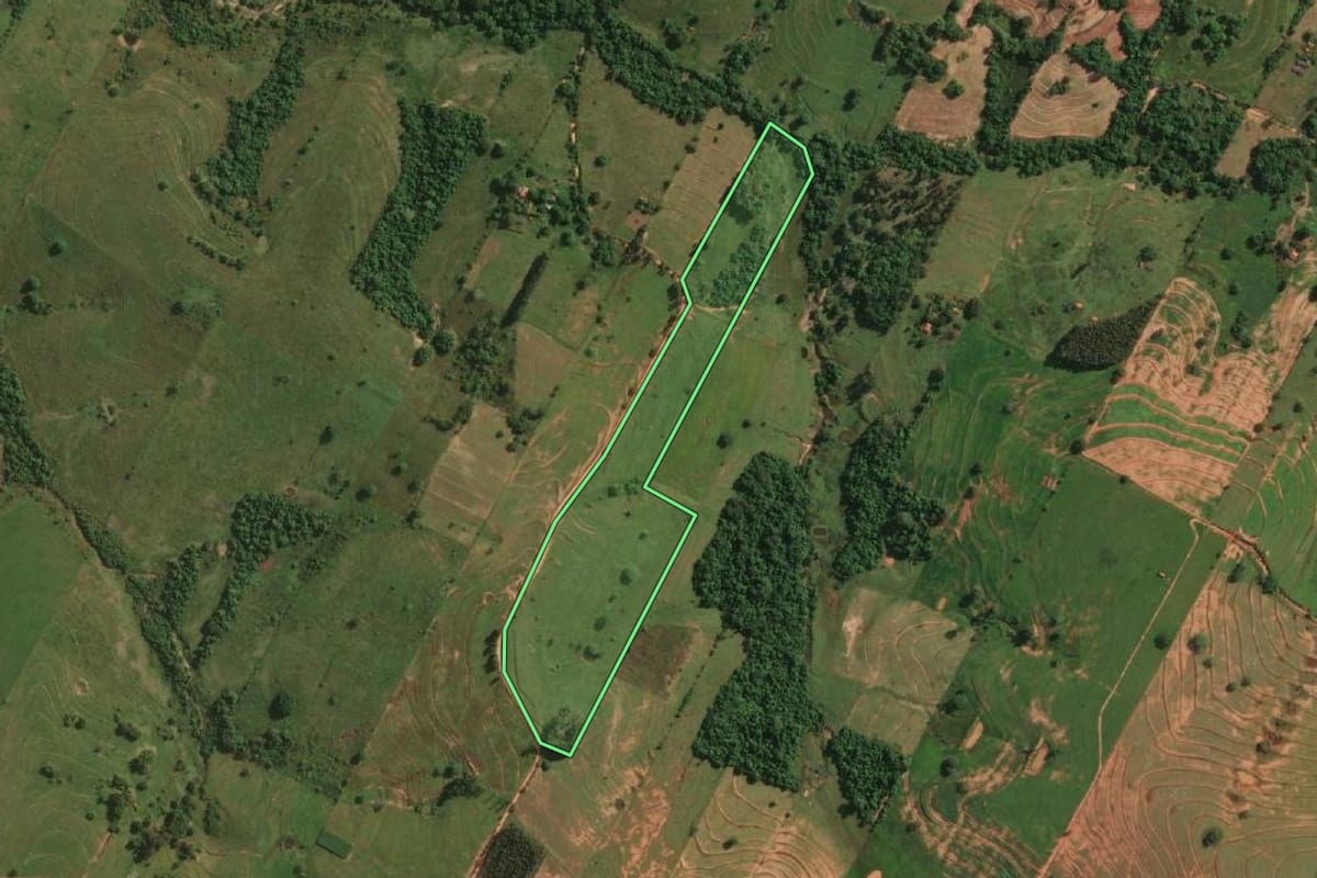 Imagem de satélite do imóvel rural em Presidente Bernardes (SP), com o contorno declarado no CAR desenhado por cima.