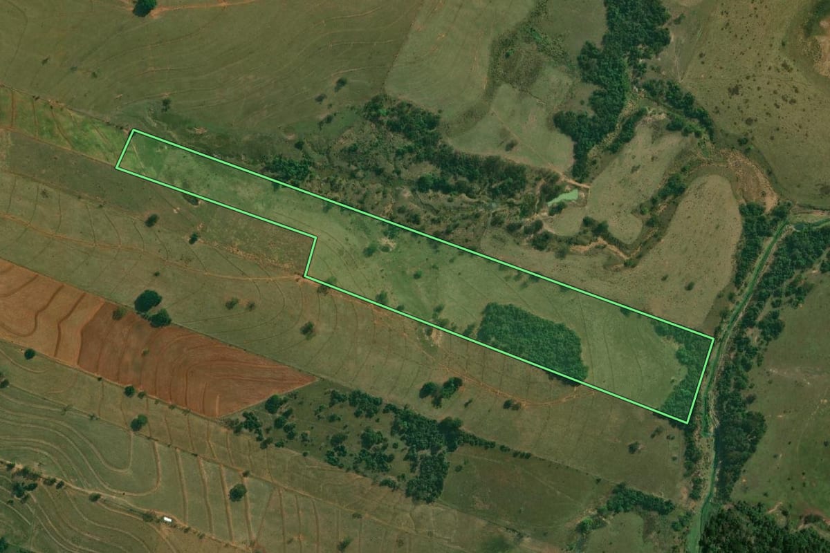 Imagem de satélite do imóvel rural em Presidente Bernardes (SP), com o contorno declarado no CAR desenhado por cima.
