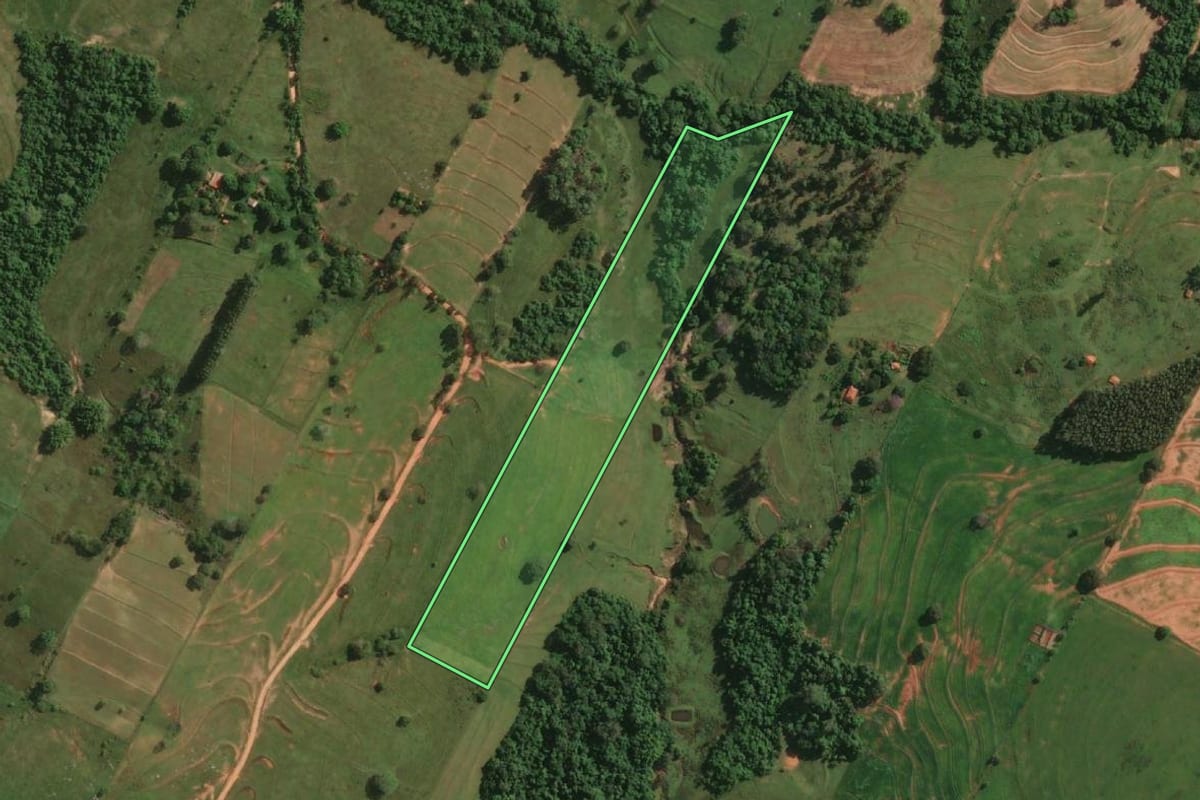 Imagem de satélite do imóvel rural em Presidente Bernardes (SP), com o contorno declarado no CAR desenhado por cima.