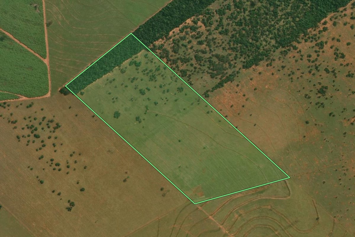 Imagem de satélite do imóvel rural em Presidente Bernardes (SP), com o contorno declarado no CAR desenhado por cima.
